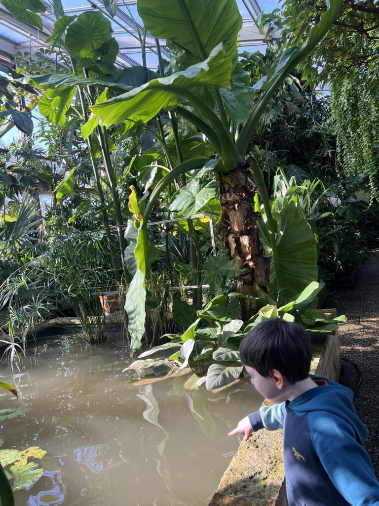 Berggarten in Hanover with kids